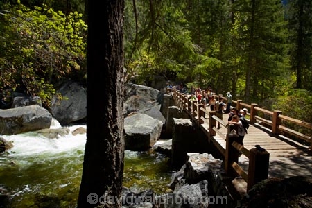 America;American;bridge;bridges;brook;brooks;CA;California;creek;creeks;foot-bridge;foot-bridges;footbridge;footbridges;forest;forested;forests;gorge;gorges;hiker;hikers;hiking-path;hiking-paths;hiking-trail;hiking-trails;John-Muir-Trail;Merced-River;national-park;national-parks;path;paths;pathway;pathways;pedestrian-bridge;pedestrian-bridges;people;person;river;rivers;route;routes;Sierra-Nevada;Sierra-Nevada-foothills;States;stream;streams;The-Mist-Trail;tourism;tourist;tourists;track;tracks;trail;trails;tramping-trail;tramping-trails;tree;trees;U.S.A;UN-world-heritage-area;UN-world-heritage-site;UNESCO-World-Heritage-area;UNESCO-World-Heritage-Site;united-nations-world-heritage-area;united-nations-world-heritage-site;United-States;United-States-of-America;USA;valley;valleys;Vernal-Fall-Bridge;Vernal-Falls-Bridge;visitor;visitors;walker;walkers;walking-path;walking-paths;walking-trail;walking-trails;walkway;walkways;water;West-Coast;West-United-States;West-US;West-USA;Western-United-States;Western-US;Western-USA;world-heritage;world-heritage-area;world-heritage-areas;World-Heritage-Park;World-Heritage-site;World-Heritage-Sites;Yosemite;Yosemite-N.P.;Yosemite-Nat-Pk;Yosemite-National-Park;Yosemite-NP