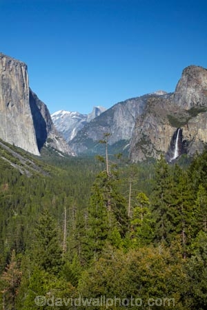 America;American;bluff;bluffs;Bridal-Veil-Fall;Bridal-Veil-Falls;Bridalveil-Fall;Bridalveil-Falls;CA;California;cascade;cascades;cliff;cliffs;El-Capitan;El-Capitan-Granite;fall;falls;forest;forested;forests;gorge;gorges;granite;granite-dome;granite-monolith;Half-Dome;monoliths;mountain;mountainous;Mountains;national-park;national-parks;natural;nature;rock-formation;rock-formations;scene;scenic;Sierra-Nevada;Sierra-Nevada-foothills;States;tree;trees;Tunnel-View;U.S.A;UN-world-heritage-area;UN-world-heritage-site;UNESCO-World-Heritage-area;UNESCO-World-Heritage-Site;united-nations-world-heritage-area;united-nations-world-heritage-site;United-States;United-States-of-America;USA;valley;valleys;water;water-fall;water-falls;waterfall;waterfalls;West-Coast;West-United-States;West-US;West-USA;Western-United-States;Western-US;Western-USA;wet;world-heritage;world-heritage-area;world-heritage-areas;World-Heritage-Park;World-Heritage-site;World-Heritage-Sites;Yosemite;Yosemite-N.P.;Yosemite-Nat-Pk;Yosemite-National-Park;Yosemite-NP;Yosemite-Valley