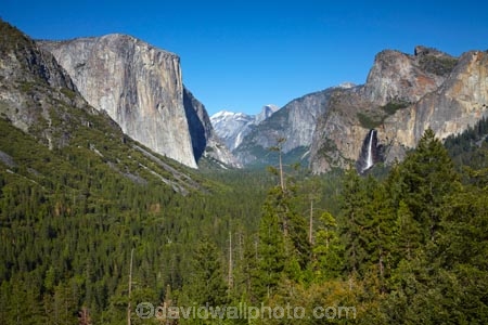 America;American;bluff;bluffs;Bridal-Veil-Fall;Bridal-Veil-Falls;Bridalveil-Fall;Bridalveil-Falls;CA;California;cascade;cascades;cliff;cliffs;El-Capitan;El-Capitan-Granite;fall;falls;forest;forested;forests;gorge;gorges;granite;granite-dome;granite-monolith;Half-Dome;monoliths;mountain;mountainous;Mountains;national-park;national-parks;natural;nature;rock-formation;rock-formations;scene;scenic;Sierra-Nevada;Sierra-Nevada-foothills;States;tree;trees;Tunnel-View;U.S.A;UN-world-heritage-area;UN-world-heritage-site;UNESCO-World-Heritage-area;UNESCO-World-Heritage-Site;united-nations-world-heritage-area;united-nations-world-heritage-site;United-States;United-States-of-America;USA;valley;valleys;water;water-fall;water-falls;waterfall;waterfalls;West-Coast;West-United-States;West-US;West-USA;Western-United-States;Western-US;Western-USA;wet;world-heritage;world-heritage-area;world-heritage-areas;World-Heritage-Park;World-Heritage-site;World-Heritage-Sites;Yosemite;Yosemite-N.P.;Yosemite-Nat-Pk;Yosemite-National-Park;Yosemite-NP;Yosemite-Valley
