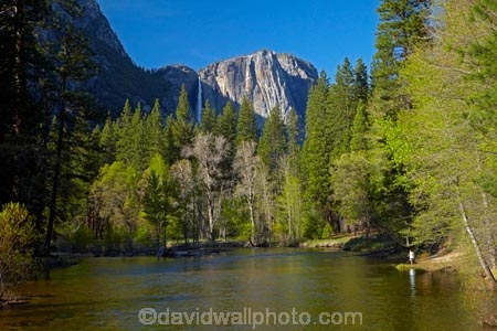 America;American;brook;brooks;CA;California;calm;children;creek;creeks;forest;forested;forests;gorge;gorges;hiking-path;hiking-paths;hiking-trail;hiking-trails;Merced-River;mountain;mountainous;mountains;national-park;national-parks;path;paths;pathway;pathways;people;person;placid;quiet;reflected;reflection;reflections;river;rivers;route;routes;serene;Sierra-Nevada;Sierra-Nevada-foothills;smooth;States;still;stream;streams;tourism;tourist;tourists;track;tracks;trail;trails;tramping-trail;tramping-trails;tranquil;tree;trees;U.S.A;UN-world-heritage-area;UN-world-heritage-site;UNESCO-World-Heritage-area;UNESCO-World-Heritage-Site;united-nations-world-heritage-area;united-nations-world-heritage-site;United-States;United-States-of-America;USA;valley;valleys;visitor;visitors;walking-path;walking-paths;walking-trail;walking-trails;walkway;walkways;water;West-Coast;West-United-States;West-US;West-USA;Western-United-States;Western-US;Western-USA;world-heritage;world-heritage-area;world-heritage-areas;World-Heritage-Park;World-Heritage-site;World-Heritage-Sites;Yosemite;Yosemite-Falls;Yosemite-N.P.;Yosemite-Nat-Pk;Yosemite-National-Park;Yosemite-NP;Yosemite-Point;Yosemite-Valley