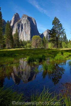 America;American;bluff;bluffs;CA;California;calm;Cathedral-Rocks;cliff;cliffs;field;fields;forest;forested;forests;grass;Higher-Cathedral-Rock;meadow;meadows;Middle-Cathedral-Rock;mountain;mountainous;mountains;national-park;national-parks;paddock;paddocks;pasture;pastures;placid;pond;ponds;pool;pools;puddle;puddles;quiet;reflected;reflection;reflections;serene;Sierra-Nevada;Sierra-Nevada-foothills;smooth;States;still;tranquil;tree;trees;U.S.A;UN-world-heritage-area;UN-world-heritage-site;UNESCO-World-Heritage-area;UNESCO-World-Heritage-Site;united-nations-world-heritage-area;united-nations-world-heritage-site;United-States;United-States-of-America;USA;valley;valleys;water;West-Coast;West-United-States;West-US;West-USA;Western-United-States;Western-US;Western-USA;world-heritage;world-heritage-area;world-heritage-areas;World-Heritage-Park;World-Heritage-site;World-Heritage-Sites;Yosemite;Yosemite-N.P.;Yosemite-Nat-Pk;Yosemite-National-Park;Yosemite-NP;Yosemite-Valley