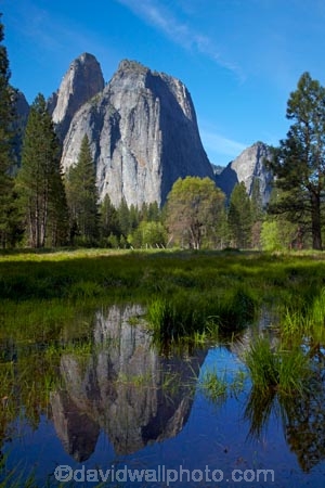 America;American;bluff;bluffs;CA;California;calm;Cathedral-Rocks;cliff;cliffs;field;fields;forest;forested;forests;grass;Higher-Cathedral-Rock;meadow;meadows;Middle-Cathedral-Rock;mountain;mountainous;mountains;national-park;national-parks;paddock;paddocks;pasture;pastures;placid;pond;ponds;pool;pools;puddle;puddles;quiet;reflected;reflection;reflections;serene;Sierra-Nevada;Sierra-Nevada-foothills;smooth;States;still;tranquil;tree;trees;U.S.A;UN-world-heritage-area;UN-world-heritage-site;UNESCO-World-Heritage-area;UNESCO-World-Heritage-Site;united-nations-world-heritage-area;united-nations-world-heritage-site;United-States;United-States-of-America;USA;valley;valleys;water;West-Coast;West-United-States;West-US;West-USA;Western-United-States;Western-US;Western-USA;world-heritage;world-heritage-area;world-heritage-areas;World-Heritage-Park;World-Heritage-site;World-Heritage-Sites;Yosemite;Yosemite-N.P.;Yosemite-Nat-Pk;Yosemite-National-Park;Yosemite-NP;Yosemite-Valley
