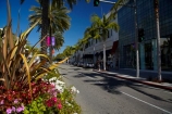 America;Beverly-Hills;boutique;boutiques;building;buildings;CA;California;commerce;commercial;flower;flower-beds;flower-garden;flower-gardens;flowers;L.A.;LA;lavish;Los-Angeles;luxury;luxury-shop;luxury-shopping-street;luxury-shopping-streets;luxury-shops;luxury-store;luxury-stores;N-Rodeo-Dr;N.-Rodeo-Dr;North-Rodeo-Drive;opulence;palm;palm-tree;palm-trees;palms;retail;retail-store;retailer;retailers;Rodeo-Drive;shop;shopper;shoppers;shopping;shops;States;store;stores;street;street-scene;street-scenes;streets;tree;trees;U.S.A;United-States;United-States-of-America;USA;West-Coast;West-United-States;West-US;West-USA;Western-United-States;Western-US;Western-USA