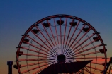 America;Amusement;amusement-park;amusement-parks;Amusements;big-wheel;big-wheels;CA;California;circle;circles;circular;dark;dusk;entertainment;evening;Fair;Fairground;Fairs;feris-wheel;feris-wheels;ferris-wheel;ferris-wheels;fun;fun-park;fun-parks;Funfair;Funfairs;Holiday;Holidays;L.A.;LA;light;lights;Los-Angeles;Los-Angeles-County;neon;neons;night;night-life;night-time;night_life;night_time;nightfall;nightlife;Pacific-Park;Pacific-Wheel;park;parks;ride;rides;round;Santa-Monica;Santa-Monica-Pier;silhouette;silhouettes;solar_powered-Ferris-wheel;States;sunset;sunsets;the-big-wheel;theme-park;theme-parks;tourism;travel;twilight;U.S.A;United-States;United-States-of-America;USA;vacation;vacations;West-Coast;West-United-States;West-US;West-USA;Western-United-States;Western-US;Western-USA