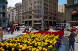 America;American;Bay-Area;CA;California;downtown-San-Francisco;flower;flower-garden;flower-gardens;flowerbed;flowerbeds;flowers;garden;gardens;Powell-St;Powell-Street;public-plaza;public-plazas;public-transport;public-transportation;rail;rails;road;roads;roadway;San-Francisco;San-Francisco-CBD;States;street;street-car;street-cars;street-scene;street-scenes;street_car;street_cars;streetcar;streetcars;streets;tram;tram-car;tram-cars;tram_car;tram_cars;tram_way;tram_ways;tramcar;tramcars;trams;tramway;tramways;transport;transportation;trolley;trolleys;U.S.A;Union-Sq;Union-Square;United-States;United-States-of-America;USA;West-Coast;West-United-States;West-US;West-USA;Western-United-States;Western-US;Western-USA;yellow;yellow-flowers