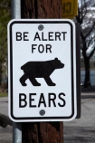 America;American;bear;Bear-sign;Bear-signs;Bear-warning-sign;bears;CA;California;danger;Eastern-Sierra;Mono-County;Sierra-Nevada;Sierra-Nevada-Mountain-Range;Sierra-Nevadas;Silver-Lake;Silver-Lake-Resort;States;U.S.A;United-States;United-States-of-America;USA;warning-sign;warning-signs;West-Coast;West-United-States;West-US;West-USA;Western-United-States;Western-US;Western-USA;wildlife