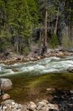 America;American;brook;brooks;CA;California;creek;creeks;forest;forested;forests;Merced-River;national-park;national-parks;river;rivers;Sierra-Nevada;Sierra-Nevada-foothills;States;stream;streams;tree;trees;U.S.A;UN-world-heritage-area;UN-world-heritage-site;UNESCO-World-Heritage-area;UNESCO-World-Heritage-Site;united-nations-world-heritage-area;united-nations-world-heritage-site;United-States;United-States-of-America;USA;water;West-Coast;West-United-States;West-US;West-USA;Western-United-States;Western-US;Western-USA;world-heritage;world-heritage-area;world-heritage-areas;World-Heritage-Park;World-Heritage-site;World-Heritage-Sites;Yosemite;Yosemite-N.P.;Yosemite-Nat-Pk;Yosemite-National-Park;Yosemite-NP;Yosemite-Valley