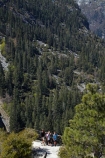 America;American;bluff;bluffs;CA;California;cliff;cliffs;forest;forested;forests;hiker;hikers;hiking-path;hiking-paths;hiking-trail;hiking-trails;John-Muir-Trail;mountain;mountainous;mountains;national-park;national-parks;Nevada-Fall;Nevada-Falls;Nevada-Waterfall;Nevada-Waterfalls;path;paths;pathway;pathways;people;person;route;routes;Sierra-Nevada;Sierra-Nevada-foothills;States;The-Mist-Trail;tourism;tourist;tourists;track;tracks;trail;trails;tramping-trail;tramping-trails;tree;trees;U.S.A;UN-world-heritage-area;UN-world-heritage-site;UNESCO-World-Heritage-area;UNESCO-World-Heritage-Site;united-nations-world-heritage-area;united-nations-world-heritage-site;United-States;United-States-of-America;USA;valley;valleys;visitor;visitors;walker;walkers;walking-path;walking-paths;walking-trail;walking-trails;walkway;walkways;West-Coast;West-United-States;West-US;West-USA;Western-United-States;Western-US;Western-USA;world-heritage;world-heritage-area;world-heritage-areas;World-Heritage-Park;World-Heritage-site;World-Heritage-Sites;Yosemite;Yosemite-N.P.;Yosemite-Nat-Pk;Yosemite-National-Park;Yosemite-NP