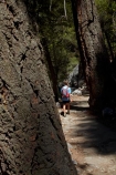 America;American;boy;boys;CA;California;child;children;forest;forested;forests;hiker;hikers;hiking-path;hiking-paths;hiking-trail;hiking-trails;John-Muir-Trail;national-park;national-parks;path;paths;pathway;pathways;people;person;route;routes;shade;shady;Sierra-Nevada;Sierra-Nevada-foothills;States;The-Mist-Trail;tourism;tourist;tourists;track;tracks;trail;trails;tramping-trail;tramping-trails;tree;trees;U.S.A;UN-world-heritage-area;UN-world-heritage-site;UNESCO-World-Heritage-area;UNESCO-World-Heritage-Site;united-nations-world-heritage-area;united-nations-world-heritage-site;United-States;United-States-of-America;USA;visitor;visitors;walker;walkers;walking-path;walking-paths;walking-trail;walking-trails;walkway;walkways;West-Coast;West-United-States;West-US;West-USA;Western-United-States;Western-US;Western-USA;world-heritage;world-heritage-area;world-heritage-areas;World-Heritage-Park;World-Heritage-site;World-Heritage-Sites;Yosemite;Yosemite-N.P.;Yosemite-Nat-Pk;Yosemite-National-Park;Yosemite-NP