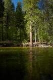 America;American;brook;brooks;CA;California;calm;creek;creeks;forest;forested;forests;Merced-River;national-park;national-parks;placid;quiet;reflected;reflection;reflections;river;rivers;serene;Sierra-Nevada;Sierra-Nevada-foothills;smooth;States;still;stream;streams;tranquil;tree;trees;U.S.A;UN-world-heritage-area;UN-world-heritage-site;UNESCO-World-Heritage-area;UNESCO-World-Heritage-Site;united-nations-world-heritage-area;united-nations-world-heritage-site;United-States;United-States-of-America;USA;water;West-Coast;West-United-States;West-US;West-USA;Western-United-States;Western-US;Western-USA;world-heritage;world-heritage-area;world-heritage-areas;World-Heritage-Park;World-Heritage-site;World-Heritage-Sites;Yosemite;Yosemite-N.P.;Yosemite-Nat-Pk;Yosemite-National-Park;Yosemite-NP;Yosemite-Valley
