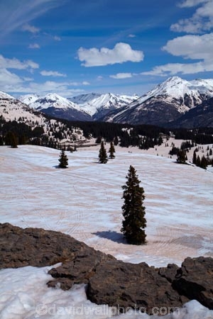 10,910-ft;3325-m;America;American-Southwest;CO;cold;Colorado;Colorado-Plateau;Colorado-Plateau-Province;Colorado-Scenic-and-Historic-Byway-System;forest;forests;lookout;lookouts;Million-Dollar-Highway;Molas-Pass;mountain-pass;mountain-passes;overlook;Rocky-Mountains;San-Juan-Mountains;San-Juan-National-Forest;San-Juan-Skyway;San-Juan-Skyway-Scenic-Byway;snow;snowy;South-west-United-States;South-west-US;South-west-USA;South-western-United-States;South-western-US;South-western-USA;Southwest-United-States;Southwest-US;Southwest-USA;Southwestern-United-States;Southwestern-US;Southwestern-USA;States;The-Colorado-Trail;the-Southwest;U.S.-Highway-550;U.S.A;United-States;United-States-of-America;US-550;USA;view;viewpoint;viewpoints;views;winter;wood;woods