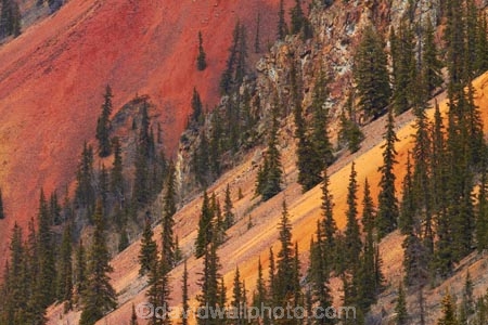 America;American-Southwest;Anvil-Mountai;Anvil-Mt;Anvil-Mtn;brown,-red-and-yellow-iron-oxide-colors;CO;Colorado;Colorado-Plateau;Colorado-Plateau-Province;Colorado-Scenic-and-Historic-Byway-System;conifer;conifers;forest;forests;iron-ore-rock;iron-ore-rocks;iron-oxide;Million-Dollar-Highway;Mount-Anvil;Mt-Anvil;reddish;Rocky-Mountains;San-Juan-County;San-Juan-Mountains;San-Juan-Skyway;San-Juan-Skyway-Scenic-Byway;Silverton;South-west-United-States;South-west-US;South-west-USA;South-western-United-States;South-western-US;South-western-USA;Southwest-United-States;Southwest-US;Southwest-USA;Southwestern-United-States;Southwestern-US;Southwestern-USA;States;the-Southwest;tree;trees;U.S.-Highway-550;U.S.A;United-States;United-States-of-America;US-550;USA;wood;woods