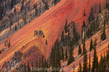 America;American-Southwest;Anvil-Mountai;Anvil-Mt;Anvil-Mtn;brown,-red-and-yellow-iron-oxide-colors;CO;Colorado;Colorado-Plateau;Colorado-Plateau-Province;Colorado-Scenic-and-Historic-Byway-System;conifer;conifers;forest;forests;iron-ore-rock;iron-ore-rocks;iron-oxide;Million-Dollar-Highway;Mount-Anvil;Mt-Anvil;reddish;Rocky-Mountains;San-Juan-County;San-Juan-Mountains;San-Juan-Skyway;San-Juan-Skyway-Scenic-Byway;Silverton;South-west-United-States;South-west-US;South-west-USA;South-western-United-States;South-western-US;South-western-USA;Southwest-United-States;Southwest-US;Southwest-USA;Southwestern-United-States;Southwestern-US;Southwestern-USA;States;the-Southwest;tree;trees;U.S.-Highway-550;U.S.A;United-States;United-States-of-America;US-550;USA;wood;woods
