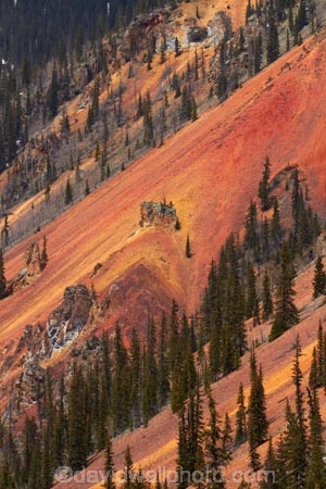 America;American-Southwest;Anvil-Mountai;Anvil-Mt;Anvil-Mtn;brown,-red-and-yellow-iron-oxide-colors;CO;Colorado;Colorado-Plateau;Colorado-Plateau-Province;Colorado-Scenic-and-Historic-Byway-System;conifer;conifers;forest;forests;iron-ore-rock;iron-ore-rocks;iron-oxide;Million-Dollar-Highway;Mount-Anvil;Mt-Anvil;reddish;Rocky-Mountains;San-Juan-County;San-Juan-Mountains;San-Juan-Skyway;San-Juan-Skyway-Scenic-Byway;Silverton;South-west-United-States;South-west-US;South-west-USA;South-western-United-States;South-western-US;South-western-USA;Southwest-United-States;Southwest-US;Southwest-USA;Southwestern-United-States;Southwestern-US;Southwestern-USA;States;the-Southwest;tree;trees;U.S.-Highway-550;U.S.A;United-States;United-States-of-America;US-550;USA;wood;woods