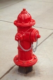 America;American-Southwest;CO;Colorado;Colorado-Plateau;Colorado-Plateau-Province;fire-hydrant;fire-hydrants;historic-town;historic-towns;hydrant;hydrants;Red-fire-hydrant;Red-fire-hydrants;Red-hydrant;Red-hydrants;Rocky-Mountains;San-Juan-Mountains;San-Juan-Skyway-Scenic-Byway;San-Miguel-County;South-west-United-States;South-west-US;South-west-USA;South-western-United-States;South-western-US;South-western-USA;Southwest-Colorado;Southwest-United-States;Southwest-US;Southwest-USA;Southwestern-United-States;Southwestern-US;Southwestern-USA;States;Telluride;the-Southwest;U.S.A;United-States;United-States-of-America;USA;water-hydrant;water-hydrants