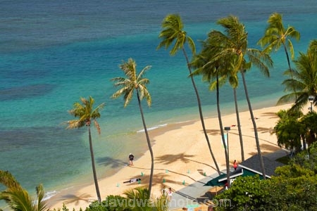 America;American;Army-Beach;beach;beaches;coast;coastal;coastline;coral-reef;coral-reefs;Fort-DeRussy-Beach;Fort-DeRussy-Beach-Park;Fort-DeRussy-Military-Reservation;Fort-DeRussy-Park;Hawaii;Hawaiian-Islands;HI;holiday;holidays;Honolulu;hot;Island-of-Oahu;Oahu;Oahu;Oahu-Island;ocean;oceans;Pacific;palm;palm-tree;palm-trees;palms;reef;reefs;sand;sandy;sea;seas;shore;shoreline;State-of-Hawaii;States;summer;tropical;tropical-beach;tropical-beaches;tropical-island;tropical-islands;tropical-reef;tropical-reefs;tropics;U.S.A;United-States;United-States-of-America;USA;vacation;vacations;Waikiki;Waikiki-Beach