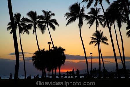 America;American;Army-Beach;beach;beaches;coast;coastal;coastline;dusk;evening;Fort-DeRussy-Beach;Fort-DeRussy-Beach-Park;Fort-DeRussy-Military-Reservation;Fort-DeRussy-Park;Hawaii;Hawaiian-Islands;HI;holiday;holidays;Honolulu;hot;Island-of-Oahu;night;night_time;nightfall;Oahu;Oahu;Oahu-Island;ocean;oceans;Pacific;palm;palm-tree;palm-trees;palms;people;person;sand;sandy;sea;seas;shore;shoreline;State-of-Hawaii;States;summer;sunset;sunsets;tourism;tourist;tourists;tropical;tropical-beach;tropical-beaches;tropical-island;tropical-islands;tropics;twilight;U.S.A;United-States;United-States-of-America;USA;vacation;vacations;visitor;visitors;Waikiki;Waikiki-Beach