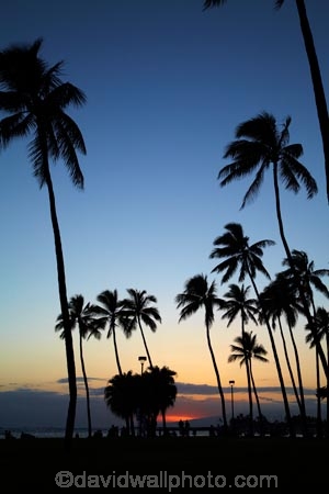 America;American;Army-Beach;beach;beaches;coast;coastal;coastline;dusk;evening;Fort-DeRussy-Beach;Fort-DeRussy-Beach-Park;Fort-DeRussy-Military-Reservation;Fort-DeRussy-Park;Hawaii;Hawaiian-Islands;HI;holiday;holidays;Honolulu;hot;Island-of-Oahu;night;night_time;nightfall;Oahu;Oahu;Oahu-Island;ocean;oceans;Pacific;palm;palm-tree;palm-trees;palms;people;person;sand;sandy;sea;seas;shore;shoreline;State-of-Hawaii;States;summer;sunset;sunsets;tourism;tourist;tourists;tropical;tropical-beach;tropical-beaches;tropical-island;tropical-islands;tropics;twilight;U.S.A;United-States;United-States-of-America;USA;vacation;vacations;visitor;visitors;Waikiki;Waikiki-Beach