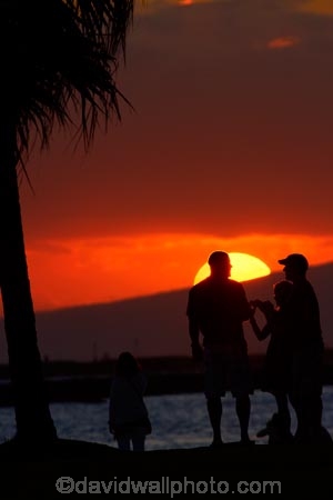 America;American;dusk;evening;Fort-DeRussy-Beach-Park;Fort-DeRussy-Military-Reservation;Fort-DeRussy-Park;Hawaii;Hawaiian-Islands;HI;holiday;holidays;Honolulu;hot;Island-of-Oahu;night;night_time;nightfall;Oahu;Oahu;Oahu-Island;orange;Pacific;palm;palm-tree;palm-trees;palms;people;person;State-of-Hawaii;States;summer;sunset;sunsets;tourism;tourist;tourists;tropical;tropical-beach;tropical-beaches;tropical-island;tropical-islands;tropics;twilight;U.S.A;United-States;United-States-of-America;USA;vacation;vacations;visitor;visitors;Waikiki;Waikiki-Beach