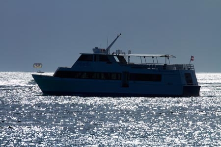 America;American;Atlantis-tourist-boat;boat;boats;cruise-boat;cruise-boats;Hawaii;Hawaiian-Islands;HI;Honolulu;Island-of-Oahu;Oahu;Oahu;Oahu-Island;Pacific;silhouette;silhouettes;sparkle;sparkling;State-of-Hawaii;States;tour-boat;tour-boats;tourism;tourist-boat;tourist-boats;U.S.A;United-States;United-States-of-America;USA;Waikiki;Waikiki-Bay;Waikiki-Beach