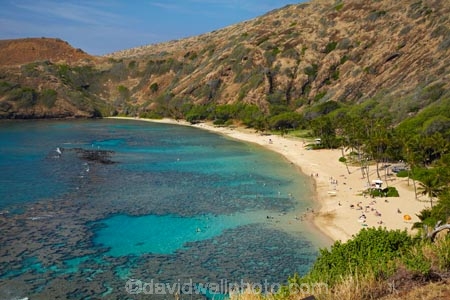 America;American;beach;beaches;coast;coastal;coastline;coastlines;coral-reef;coral-reefs;corals;dive-site;dive-sites;diving;ecosystem;environment;Hanauma;Hanauma-Bay;Hanauma-Bay-Beach;Hanauma-Bay-Nature-Preserve;Hanauma-Bay-Nature-Reserve;Hanauma-Bay-State-Park;Hanauma-Beach;Hanauma-Crater;Hawaii;Hawaiian-Islands;HI;Island-of-Oahu;leisure;marine;marine-environment;marine-life;marinelife;Oahu;Oahu;Oahu-Island;Ocean;oceanlife;Oceans;Outdoor;Outdoors;Outside;Pacific;people;person;Persons;Recreation;reef;reefs;sand;sandy;sea;sealife;seas;snorkelers;snorkeling;snorkellers;snorkelling;snorleler;snorleller;State-of-Hawaii;States;tourisim;tourism;tourist;tourists;tropical-beach;tropical-beaches;tropical-island;tropical-islands;tropical-reef;tropical-reefs;U.S.A;United-States;United-States-of-America;USA;visitor;volcanic-crater