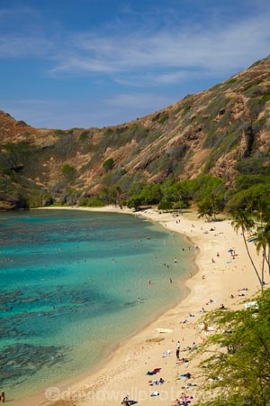 America;American;beach;beaches;coast;coastal;coastline;coastlines;coral-reef;coral-reefs;corals;dive-site;dive-sites;diving;ecosystem;environment;Hanauma;Hanauma-Bay;Hanauma-Bay-Beach;Hanauma-Bay-Nature-Preserve;Hanauma-Bay-Nature-Reserve;Hanauma-Bay-State-Park;Hanauma-Beach;Hanauma-Crater;Hawaii;Hawaiian-Islands;HI;Island-of-Oahu;leisure;marine;marine-environment;marine-life;marinelife;Oahu;Oahu;Oahu-Island;Ocean;oceanlife;Oceans;Outdoor;Outdoors;Outside;Pacific;people;person;Persons;Recreation;reef;reefs;sand;sandy;sea;sealife;seas;snorkelers;snorkeling;snorkellers;snorkelling;snorleler;snorleller;State-of-Hawaii;States;tourisim;tourism;tourist;tourists;tropical-beach;tropical-beaches;tropical-island;tropical-islands;tropical-reef;tropical-reefs;U.S.A;United-States;United-States-of-America;USA;visitor;volcanic-crater