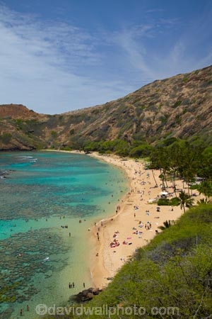 America;American;beach;beaches;coast;coastal;coastline;coastlines;coral-reef;coral-reefs;corals;dive-site;dive-sites;diving;ecosystem;environment;Hanauma;Hanauma-Bay;Hanauma-Bay-Beach;Hanauma-Bay-Nature-Preserve;Hanauma-Bay-Nature-Reserve;Hanauma-Bay-State-Park;Hanauma-Beach;Hanauma-Crater;Hawaii;Hawaiian-Islands;HI;Island-of-Oahu;leisure;marine;marine-environment;marine-life;marinelife;Oahu;Oahu;Oahu-Island;Ocean;oceanlife;Oceans;Outdoor;Outdoors;Outside;Pacific;people;person;Persons;Recreation;reef;reefs;sand;sandy;sea;sealife;seas;snorkelers;snorkeling;snorkellers;snorkelling;snorleler;snorleller;State-of-Hawaii;States;tourisim;tourism;tourist;tourists;tropical-beach;tropical-beaches;tropical-island;tropical-islands;tropical-reef;tropical-reefs;U.S.A;United-States;United-States-of-America;USA;visitor;volcanic-crater