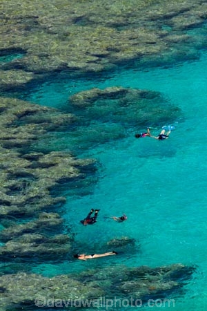 America;American;coral-reef;coral-reefs;corals;dive-site;dive-sites;diving;ecosystem;environment;Hanauma;Hanauma-Bay;Hanauma-Bay-Nature-Preserve;Hanauma-Bay-Nature-Reserve;Hanauma-Bay-State-Park;Hanauma-Crater;Hawaii;Hawaiian-Islands;HI;Island-of-Oahu;leisure;marine;marine-environment;marine-life;marinelife;Oahu;Oahu;Oahu-Island;Ocean;oceanlife;Oceans;Outdoor;Outdoors;Outside;Pacific;people;person;Persons;Recreation;reef;reefs;sea;sealife;seas;snorkelers;snorkeling;snorkellers;snorkelling;snorleler;snorleller;State-of-Hawaii;States;tourisim;tourism;tourist;tourists;tropical-beach;tropical-beaches;tropical-island;tropical-islands;tropical-reef;tropical-reefs;U.S.A;United-States;United-States-of-America;USA;visitor