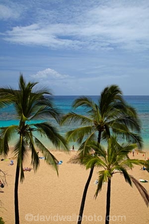 America;American;beach;beaches;coast;coastal;coastline;coastlines;Hanauma;Hanauma-Bay;Hanauma-Bay-Beach;Hanauma-Bay-Nature-Preserve;Hanauma-Bay-Nature-Reserve;Hanauma-Bay-State-Park;Hanauma-Beach;Hanauma-Crater;Hawaii;Hawaiian-Islands;HI;Island-of-Oahu;leisure;Oahu;Oahu;Oahu-Island;Outdoor;Outdoors;Outside;Pacific;palm;palm-tree;palm-trees;palms;people;Person;Persons;Recreation;sand;sandy;State-of-Hawaii;States;tourisim;tourism;tourist;tourists;tropical-beach;tropical-beaches;tropical-island;tropical-islands;U.S.A;United-States;United-States-of-America;USA;visitor