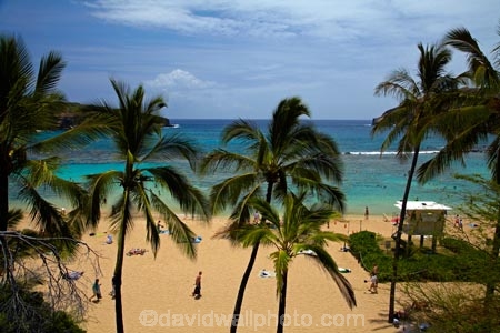 America;American;beach;beaches;coast;coastal;coastline;coastlines;Hanauma;Hanauma-Bay;Hanauma-Bay-Beach;Hanauma-Bay-Nature-Preserve;Hanauma-Bay-Nature-Reserve;Hanauma-Bay-State-Park;Hanauma-Beach;Hanauma-Crater;Hawaii;Hawaiian-Islands;HI;Island-of-Oahu;leisure;Oahu;Oahu;Oahu-Island;Outdoor;Outdoors;Outside;Pacific;palm;palm-tree;palm-trees;palms;people;Person;Persons;Recreation;sand;sandy;State-of-Hawaii;States;tourisim;tourism;tourist;tourists;tropical-beach;tropical-beaches;tropical-island;tropical-islands;U.S.A;United-States;United-States-of-America;USA;visitor;volcanic-crater
