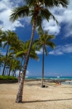 America;American;beach;beaches;coast;coastal;coastline;Hawaii;Hawaiian-Islands;HI;holiday;holidays;Honolulu;hot;Island-of-Oahu;Oahu;Oahu;Oahu-Island;ocean;oceans;Pacific;palm;palm-tree;palm-trees;palms;people;person;sand;sandy;sea;seas;shore;shoreline;State-of-Hawaii;States;summer;tourism;tourist;tourists;tropical;tropical-beach;tropical-beaches;tropical-island;tropical-islands;tropics;U.S.A;United-States;United-States-of-America;USA;vacation;vacations;visitor;visitors;Waikiki;Waikiki-Bay;Waikiki-Beach