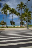 America;American;crossing-crossings;Hawaii;Hawaiian-Islands;HI;holiday;holidays;Honolulu;hot;Island-of-Oahu;Kalakaua-Ave;Kalakaua-Avenue;Oahu;Oahu;Oahu-Island;Pacific;palm;palm-tree;palm-trees;palms;pedestrian-crossing;pedestrian-crossings;State-of-Hawaii;States;summer;tropical;tropical-beach;tropical-beaches;tropical-island;tropical-islands;tropics;U.S.A;United-States;United-States-of-America;USA;vacation;vacations;Waikiki;Waikiki-Beach;zebra-crossing;zebra-crossings