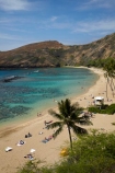 America;American;beach;beaches;coast;coastal;coastline;coastlines;coral-reef;coral-reefs;corals;dive-site;dive-sites;diving;ecosystem;environment;Hanauma;Hanauma-Bay;Hanauma-Bay-Beach;Hanauma-Bay-Nature-Preserve;Hanauma-Bay-Nature-Reserve;Hanauma-Bay-State-Park;Hanauma-Beach;Hanauma-Crater;Hawaii;Hawaiian-Islands;HI;Island-of-Oahu;leisure;marine;marine-environment;marine-life;marinelife;Oahu;Oahu;Oahu-Island;Ocean;oceanlife;Oceans;Outdoor;Outdoors;Outside;Pacific;palm;palm-tree;palm-trees;palms;people;person;Persons;Recreation;reef;reefs;sand;sandy;sea;seas;State-of-Hawaii;States;tourisim;tourism;tourist;tourists;tropical-beach;tropical-beaches;tropical-island;tropical-islands;tropical-reef;tropical-reefs;U.S.A;United-States;United-States-of-America;USA;visitor;volcanic-crater
