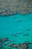 America;American;coral-reef;coral-reefs;corals;dive-site;dive-sites;diving;ecosystem;environment;Hanauma;Hanauma-Bay;Hanauma-Bay-Nature-Preserve;Hanauma-Bay-Nature-Reserve;Hanauma-Bay-State-Park;Hanauma-Crater;Hawaii;Hawaiian-Islands;HI;Island-of-Oahu;leisure;marine;marine-environment;marine-life;marinelife;Oahu;Oahu;Oahu-Island;Ocean;oceanlife;Oceans;Outdoor;Outdoors;Outside;Pacific;people;person;Persons;Recreation;reef;reefs;sea;sealife;seas;snorkelers;snorkeling;snorkellers;snorkelling;snorleler;snorleller;State-of-Hawaii;States;tourisim;tourism;tourist;tourists;tropical-beach;tropical-beaches;tropical-island;tropical-islands;tropical-reef;tropical-reefs;U.S.A;United-States;United-States-of-America;USA;visitor