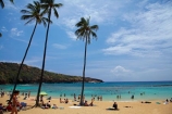 America;American;beach;beaches;coast;coastal;coastline;coastlines;Hanauma;Hanauma-Bay;Hanauma-Bay-Beach;Hanauma-Bay-Nature-Preserve;Hanauma-Bay-Nature-Reserve;Hanauma-Bay-State-Park;Hanauma-Beach;Hanauma-Crater;Hawaii;Hawaiian-Islands;HI;Island-of-Oahu;leisure;Oahu;Oahu;Oahu-Island;Outdoor;Outdoors;Outside;Pacific;palm;palm-tree;palm-trees;palms;people;Person;Persons;Recreation;sand;sandy;State-of-Hawaii;States;tourisim;tourism;tourist;tourists;tropical-beach;tropical-beaches;tropical-island;tropical-islands;U.S.A;United-States;United-States-of-America;USA;visitor;volcanic-crater
