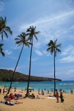 America;American;beach;beaches;coast;coastal;coastline;coastlines;Hanauma;Hanauma-Bay;Hanauma-Bay-Beach;Hanauma-Bay-Nature-Preserve;Hanauma-Bay-Nature-Reserve;Hanauma-Bay-State-Park;Hanauma-Beach;Hanauma-Crater;Hawaii;Hawaiian-Islands;HI;Island-of-Oahu;leisure;Oahu;Oahu;Oahu-Island;Outdoor;Outdoors;Outside;Pacific;palm;palm-tree;palm-trees;palms;people;Person;Persons;Recreation;sand;sandy;State-of-Hawaii;States;tourisim;tourism;tourist;tourists;tropical-beach;tropical-beaches;tropical-island;tropical-islands;U.S.A;United-States;United-States-of-America;USA;visitor;volcanic-crater