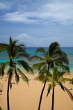 America;American;beach;beaches;coast;coastal;coastline;coastlines;Hanauma;Hanauma-Bay;Hanauma-Bay-Beach;Hanauma-Bay-Nature-Preserve;Hanauma-Bay-Nature-Reserve;Hanauma-Bay-State-Park;Hanauma-Beach;Hanauma-Crater;Hawaii;Hawaiian-Islands;HI;Island-of-Oahu;leisure;Oahu;Oahu;Oahu-Island;Outdoor;Outdoors;Outside;Pacific;palm;palm-tree;palm-trees;palms;people;Person;Persons;Recreation;sand;sandy;State-of-Hawaii;States;tourisim;tourism;tourist;tourists;tropical-beach;tropical-beaches;tropical-island;tropical-islands;U.S.A;United-States;United-States-of-America;USA;visitor