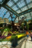 America;American;Bellagio;Bellagio-Botanical-Gardens;Bellagio-Casino;Bellagio-Conservatory;Bellagio-Hotel;Bellagio-Resort;Botanical-Gardens;casino;casinos;City-of-Las-Vegas;Clark-County;Conservatory;Conservatory-and-Botanical-Gardens;flower;flower-garden;flower-gardens;flowers;gambling-casino;gambling-casinos;hotel;hotels;indoor-garden;indoor-gardens;inside;interior;interiors;Las-Vegas;Las-Vegas-Boulevard;Las-Vegas-Strip;Los-Vegas;luxury-hotel;luxury-hotels;LV;Nev;Nevada;NV;resort;sin-city;South-Las-Vegas-Boulevard;Southern-Nevada;States;The-Las-Vegas-Strip;The-Strip;U.S.A;United-States;United-States-of-America;USA;Vegas;Vegas-Strip;West-Coast;West-United-States;West-US;West-USA;Western-United-States;Western-US;Western-USA