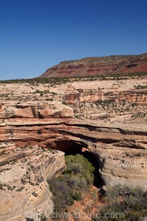 America;American-Southwest;archway;archways;geological;geology;Kachina-Bridge;Kachina-Natural-Bridge;natural-arch;natural-arches;natural-bridge;natural-bridges;Natural-Bridges-N.M.;Natural-Bridges-National-Monument;natural-geological-formation;natural-geological-formations;Natural-Rock-Arch;natural-rock-arches;natural-rock-archs;natural-rock-bridge;natural-rock-bridges;rock;rock-arch;rock-arches;rock-bridge;rock-bridges;rock-formation;rock-formations;rock-outcrop;rock-outcrops;rock-tor;rock-torr;rock-torrs;rock-tors;rocks;Sandstone;South-west-United-States;South-west-US;South-west-USA;South-western-United-States;South-western-US;South-western-USA;Southwest-United-States;Southwest-US;Southwest-USA;Southwestern-United-States;Southwestern-US;Southwestern-USA;States;stone;the-Southwest;U.S.-National-Monument;U.S.-National-Monuments;U.S.A;United-States;United-States-of-America;unusual-natural-feature;unusual-natural-features;unusual-natural-formation;unusual-natural-formations;USA;UT;Utah;wilderness;wilderness-area;wilderness-areas