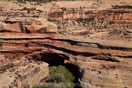 America;American-Southwest;archway;archways;geological;geology;Kachina-Bridge;Kachina-Natural-Bridge;natural-arch;natural-arches;natural-bridge;natural-bridges;Natural-Bridges-N.M.;Natural-Bridges-National-Monument;natural-geological-formation;natural-geological-formations;Natural-Rock-Arch;natural-rock-arches;natural-rock-archs;natural-rock-bridge;natural-rock-bridges;rock;rock-arch;rock-arches;rock-bridge;rock-bridges;rock-formation;rock-formations;rock-outcrop;rock-outcrops;rock-tor;rock-torr;rock-torrs;rock-tors;rocks;Sandstone;South-west-United-States;South-west-US;South-west-USA;South-western-United-States;South-western-US;South-western-USA;Southwest-United-States;Southwest-US;Southwest-USA;Southwestern-United-States;Southwestern-US;Southwestern-USA;States;stone;the-Southwest;U.S.-National-Monument;U.S.-National-Monuments;U.S.A;United-States;United-States-of-America;unusual-natural-feature;unusual-natural-features;unusual-natural-formation;unusual-natural-formations;USA;UT;Utah;wilderness;wilderness-area;wilderness-areas
