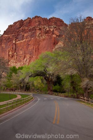 America;American-Southwest;bluff;bluffs;Capitol-Reef-National-Park;cliff;cliffs;Fruita;national-park;national-parks;red-sandstone;road;roads;sandstone-cliff;sandstone-cliffs;South-west-United-States;South-west-US;South-west-USA;South-western-United-States;South-western-US;South-western-USA;Southwest-United-States;Southwest-US;Southwest-USA;Southwestern-United-States;Southwestern-US;Southwestern-USA;States;the-Southwest;U.S.A;United-States;United-States-of-America;USA;UT;Utah;Wayne-County