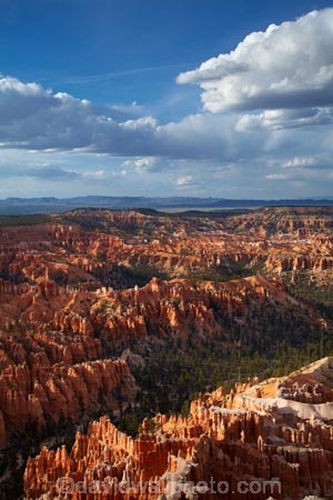 America;American-Southwest;badland;badlands;Bryce-Amphitheater;Bryce-Amphitheatre;Bryce-Canyon;Bryce-Canyon-N.P.;Bryce-Canyon-National-Park;Bryce-Canyon-NP;Bryce-Point;clay;column;columns;earth-pyramid;earth-pyramids;eroded;erosion;fairy-chimney;fairy-chimneys;formation;formations;geological;geology;hoodoo;hoodoos;layer;layers;lookout;lookouts;national-park;national-parks;natural-geological-formation;natural-geological-formations;natural-tower;natural-towers;North-America;overlook;Paunsaugunt-Plateau;pillar;pillars;pinnacle;pinnacles;rock;rock-chimney;rock-chimneys;rock-column;rock-columns;rock-formation;rock-formations;rock-pillar;rock-pillars;rock-pinnacle;rock-pinnacles;rock-spire;rock-spires;rock-tower;rock-towers;rocks;Sandstone;South-west-United-States;South-west-US;South-west-USA;South-western-United-States;South-western-US;South-western-USA;Southwest-United-States;Southwest-US;Southwest-USA;Southwestern-United-States;Southwestern-US;Southwestern-USA;States;stone;tent-rock;tent-rocks;the-Southwest;U.S.A;United-States;United-States-of-America;unusual-natural-feature;unusual-natural-features;unusual-natural-formation;unusual-natural-formations;USA;UT;Utah;view;viewpoint;viewpoints;views;weathered;weathering;wilderness;wilderness-area;wilderness-areas