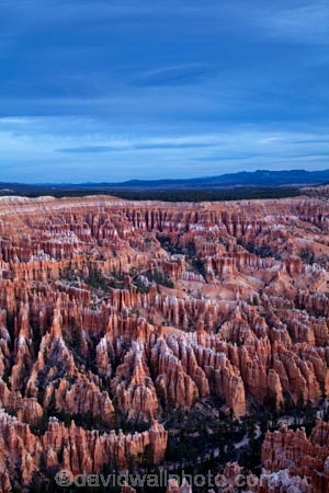 America;American-Southwest;badland;badlands;Bryce-Amphitheater;Bryce-Amphitheatre;Bryce-Canyon;Bryce-Canyon-N.P.;Bryce-Canyon-National-Park;Bryce-Canyon-NP;Bryce-Point;clay;column;columns;earth-pyramid;earth-pyramids;eroded;erosion;fairy-chimney;fairy-chimneys;formation;formations;geological;geology;hoodoo;hoodoos;layer;layers;lookout;lookouts;national-park;national-parks;natural-geological-formation;natural-geological-formations;natural-tower;natural-towers;North-America;overlook;Paunsaugunt-Plateau;pillar;pillars;pinnacle;pinnacles;rock;rock-chimney;rock-chimneys;rock-column;rock-columns;rock-formation;rock-formations;rock-pillar;rock-pillars;rock-pinnacle;rock-pinnacles;rock-spire;rock-spires;rock-tower;rock-towers;rocks;Sandstone;South-west-United-States;South-west-US;South-west-USA;South-western-United-States;South-western-US;South-western-USA;Southwest-United-States;Southwest-US;Southwest-USA;Southwestern-United-States;Southwestern-US;Southwestern-USA;States;stone;tent-rock;tent-rocks;the-Southwest;U.S.A;United-States;United-States-of-America;unusual-natural-feature;unusual-natural-features;unusual-natural-formation;unusual-natural-formations;USA;UT;Utah;view;viewpoint;viewpoints;views;weathered;weathering;wilderness;wilderness-area;wilderness-areas