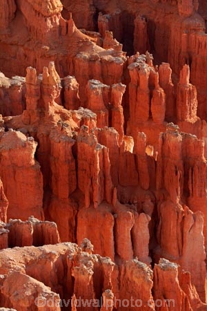 America;American-Southwest;badland;badlands;Bryce-Amphitheater;Bryce-Amphitheatre;Bryce-Canyon;Bryce-Canyon-N.P.;Bryce-Canyon-National-Park;Bryce-Canyon-NP;clay;column;columns;earth-pyramid;earth-pyramids;eroded;erosion;fairy-chimney;fairy-chimneys;formation;formations;geological;geology;hoodoo;hoodoos;layer;layers;lookout;lookouts;national-park;national-parks;natural-geological-formation;natural-geological-formations;natural-tower;natural-towers;North-America;overlook;Paunsaugunt-Plateau;pillar;pillars;pinnacle;pinnacles;rock;rock-chimney;rock-chimneys;rock-column;rock-columns;rock-formation;rock-formations;rock-pillar;rock-pillars;rock-pinnacle;rock-pinnacles;rock-spire;rock-spires;rock-tower;rock-towers;rocks;Sandstone;South-west-United-States;South-west-US;South-west-USA;South-western-United-States;South-western-US;South-western-USA;Southwest-United-States;Southwest-US;Southwest-USA;Southwestern-United-States;Southwestern-US;Southwestern-USA;States;stone;tent-rock;tent-rocks;the-Southwest;U.S.A;United-States;United-States-of-America;unusual-natural-feature;unusual-natural-features;unusual-natural-formation;unusual-natural-formations;USA;UT;Utah;view;viewpoint;viewpoints;views;weathered;weathering;wilderness;wilderness-area;wilderness-areas