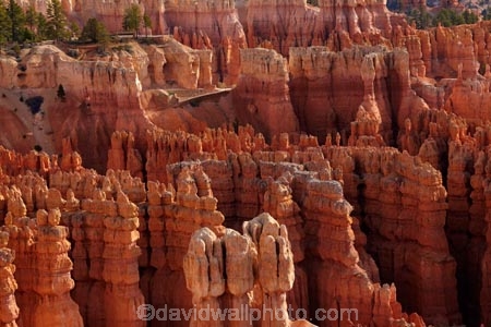 America;American-Southwest;badland;badlands;Bryce-Amphitheater;Bryce-Amphitheatre;Bryce-Canyon;Bryce-Canyon-N.P.;Bryce-Canyon-National-Park;Bryce-Canyon-NP;clay;column;columns;earth-pyramid;earth-pyramids;eroded;erosion;fairy-chimney;fairy-chimneys;formation;formations;geological;geology;hiking-path;hiking-paths;hiking-track;hiking-tracks;hiking-trail;hiking-trails;hoodoo;hoodoos;Inspiration-Point;layer;layers;lookout;lookouts;national-park;national-parks;natural-geological-formation;natural-geological-formations;natural-tower;natural-towers;Navaho-Loop;Navaho-Trail;North-America;overlook;path;paths;pathway;pathways;Paunsaugunt-Plateau;pillar;pillars;pinnacle;pinnacles;rock;rock-chimney;rock-chimneys;rock-column;rock-columns;rock-formation;rock-formations;rock-pillar;rock-pillars;rock-pinnacle;rock-pinnacles;rock-spire;rock-spires;rock-tower;rock-towers;rocks;route;routes;Sandstone;South-west-United-States;South-west-US;South-west-USA;South-western-United-States;South-western-US;South-western-USA;Southwest-United-States;Southwest-US;Southwest-USA;Southwestern-United-States;Southwestern-US;Southwestern-USA;States;stone;Sunset-Point;tent-rock;tent-rocks;the-Southwest;track;tracks;trail;trails;tramping-track;tramping-tracks;tramping-trail;tramping-trails;U.S.A;United-States;United-States-of-America;unusual-natural-feature;unusual-natural-features;unusual-natural-formation;unusual-natural-formations;USA;UT;Utah;view;viewpoint;viewpoints;views;walking-path;walking-paths;walking-track;walking-tracks;walking-trail;walking-trails;walkway;walkways;weathered;weathering;wilderness;wilderness-area;wilderness-areas