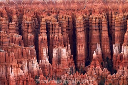 America;American-Southwest;badland;badlands;Bryce-Amphitheater;Bryce-Amphitheatre;Bryce-Canyon;Bryce-Canyon-N.P.;Bryce-Canyon-National-Park;Bryce-Canyon-NP;clay;column;columns;earth-pyramid;earth-pyramids;eroded;erosion;fairy-chimney;fairy-chimneys;formation;formations;geological;geology;hoodoo;hoodoos;layer;layers;lookout;lookouts;national-park;national-parks;natural-geological-formation;natural-geological-formations;natural-tower;natural-towers;North-America;overlook;Paunsaugunt-Plateau;pillar;pillars;pinnacle;pinnacles;rock;rock-chimney;rock-chimneys;rock-column;rock-columns;rock-formation;rock-formations;rock-pillar;rock-pillars;rock-pinnacle;rock-pinnacles;rock-spire;rock-spires;rock-tower;rock-towers;rocks;Sandstone;South-west-United-States;South-west-US;South-west-USA;South-western-United-States;South-western-US;South-western-USA;Southwest-United-States;Southwest-US;Southwest-USA;Southwestern-United-States;Southwestern-US;Southwestern-USA;States;stone;tent-rock;tent-rocks;the-Southwest;U.S.A;United-States;United-States-of-America;unusual-natural-feature;unusual-natural-features;unusual-natural-formation;unusual-natural-formations;USA;UT;Utah;view;viewpoint;viewpoints;views;weathered;weathering;wilderness;wilderness-area;wilderness-areas
