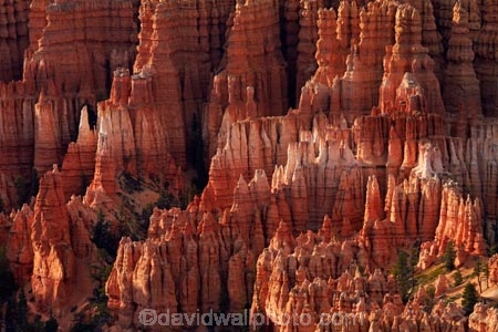 America;American-Southwest;badland;badlands;Bryce-Amphitheater;Bryce-Amphitheatre;Bryce-Canyon;Bryce-Canyon-N.P.;Bryce-Canyon-National-Park;Bryce-Canyon-NP;clay;column;columns;earth-pyramid;earth-pyramids;eroded;erosion;fairy-chimney;fairy-chimneys;formation;formations;geological;geology;hoodoo;hoodoos;layer;layers;lookout;lookouts;national-park;national-parks;natural-geological-formation;natural-geological-formations;natural-tower;natural-towers;North-America;overlook;Paunsaugunt-Plateau;pillar;pillars;pinnacle;pinnacles;rock;rock-chimney;rock-chimneys;rock-column;rock-columns;rock-formation;rock-formations;rock-pillar;rock-pillars;rock-pinnacle;rock-pinnacles;rock-spire;rock-spires;rock-tower;rock-towers;rocks;Sandstone;South-west-United-States;South-west-US;South-west-USA;South-western-United-States;South-western-US;South-western-USA;Southwest-United-States;Southwest-US;Southwest-USA;Southwestern-United-States;Southwestern-US;Southwestern-USA;States;stone;tent-rock;tent-rocks;the-Southwest;U.S.A;United-States;United-States-of-America;unusual-natural-feature;unusual-natural-features;unusual-natural-formation;unusual-natural-formations;USA;UT;Utah;view;viewpoint;viewpoints;views;weathered;weathering;wilderness;wilderness-area;wilderness-areas