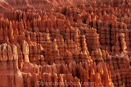 America;American-Southwest;badland;badlands;Bryce-Amphitheater;Bryce-Amphitheatre;Bryce-Canyon;Bryce-Canyon-N.P.;Bryce-Canyon-National-Park;Bryce-Canyon-NP;clay;column;columns;earth-pyramid;earth-pyramids;eroded;erosion;fairy-chimney;fairy-chimneys;formation;formations;geological;geology;hoodoo;hoodoos;layer;layers;lookout;lookouts;national-park;national-parks;natural-geological-formation;natural-geological-formations;natural-tower;natural-towers;North-America;overlook;Paunsaugunt-Plateau;pillar;pillars;pinnacle;pinnacles;rock;rock-chimney;rock-chimneys;rock-column;rock-columns;rock-formation;rock-formations;rock-pillar;rock-pillars;rock-pinnacle;rock-pinnacles;rock-spire;rock-spires;rock-tower;rock-towers;rocks;Sandstone;South-west-United-States;South-west-US;South-west-USA;South-western-United-States;South-western-US;South-western-USA;Southwest-United-States;Southwest-US;Southwest-USA;Southwestern-United-States;Southwestern-US;Southwestern-USA;States;stone;tent-rock;tent-rocks;the-Southwest;U.S.A;United-States;United-States-of-America;unusual-natural-feature;unusual-natural-features;unusual-natural-formation;unusual-natural-formations;USA;UT;Utah;view;viewpoint;viewpoints;views;weathered;weathering;wilderness;wilderness-area;wilderness-areas