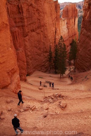 America;American-Southwest;badland;badlands;bluff;bluffs;Bryce-Amphitheater;Bryce-Amphitheatre;Bryce-Canyon;Bryce-Canyon-N.P.;Bryce-Canyon-National-Park;Bryce-Canyon-NP;canyon;canyons;clay;cliff;cliffs;column;columns;earth-pyramid;earth-pyramids;eroded;erosion;fairy-chimney;fairy-chimneys;formation;formations;geological;geology;hairpin-bend;hairpin-bends;hairpin-corner;hairpin-corners;hiker;hikers;hiking-path;hiking-paths;hiking-track;hiking-tracks;hiking-trail;hiking-trails;hoodoo;hoodoos;layer;layers;national-park;national-parks;natural-geological-formation;natural-geological-formations;natural-tower;natural-towers;Navajo-Loop;Navajo-Loop-path;Navajo-Loop-track;Navajo-Loop-trail;Navajo-Loop-walk;Navajo-path;Navajo-track;Navajo-trail;Navajo-walk;North-America;path;paths;pathway;pathways;Paunsaugunt-Plateau;people;person;pillar;pillars;pinnacle;pinnacles;rock;rock-chimney;rock-chimneys;rock-column;rock-columns;rock-formation;rock-formations;rock-pillar;rock-pillars;rock-pinnacle;rock-pinnacles;rock-spire;rock-spires;rock-tower;rock-towers;rocks;route;routes;Sandstone;South-west-United-States;South-west-US;South-west-USA;South-western-United-States;South-western-US;South-western-USA;Southwest-United-States;Southwest-US;Southwest-USA;Southwestern-United-States;Southwestern-US;Southwestern-USA;States;steep;stone;switchback;switchback-track;switchback-tracks;switchbacks;tent-rock;tent-rocks;the-Southwest;tourism;tourist;tourists;track;tracks;trail;trails;tramping-track;tramping-tracks;tramping-trail;tramping-trails;U.S.A;United-States;United-States-of-America;unusual-natural-feature;unusual-natural-features;unusual-natural-formation;unusual-natural-formations;USA;UT;Utah;walker;walkers;walking-path;walking-paths;walking-track;walking-tracks;walking-trail;walking-trails;walkway;walkways;weathered;weathering;wilderness;wilderness-area;wilderness-areas;zig-zag;zig-zag-trail;zig-zag-trails;zig-zags;zig_zag;zig_zag-path;zig_zags;zigzag;zigzag-track;zigzags