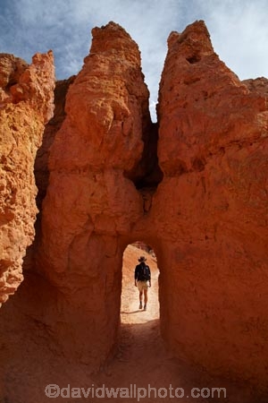 America;American-Southwest;badland;badlands;Bryce-Amphitheater;Bryce-Amphitheatre;Bryce-Canyon;Bryce-Canyon-N.P.;Bryce-Canyon-National-Park;Bryce-Canyon-NP;clay;column;columns;earth-pyramid;earth-pyramids;eroded;erosion;fairy-chimney;fairy-chimneys;formation;formations;geological;geology;hiker;hikers;hiking-path;hiking-paths;hiking-track;hiking-tracks;hiking-trail;hiking-trails;hoodoo;hoodoos;layer;layers;national-park;national-parks;natural-geological-formation;natural-geological-formations;natural-tower;natural-towers;North-America;path;paths;pathway;pathways;Paunsaugunt-Plateau;people;person;pillar;pillars;pinnacle;pinnacles;Queens-Garden-Path;Queens-Garden-Trackl;Queens-Garden-Trail;Queens-Garden-walk;Queens-Garden-Path;Queens-Garden-Track;Queens-Garden-Trail;Queens-Garden-walk;rock;rock-chimney;rock-chimneys;rock-column;rock-columns;rock-formation;rock-formations;rock-pillar;rock-pillars;rock-pinnacle;rock-pinnacles;rock-spire;rock-spires;rock-tower;rock-towers;rocks;route;routes;Sandstone;South-west-United-States;South-west-US;South-west-USA;South-western-United-States;South-western-US;South-western-USA;Southwest-United-States;Southwest-US;Southwest-USA;Southwestern-United-States;Southwestern-US;Southwestern-USA;States;stone;tent-rock;tent-rocks;the-Southwest;tourism;tourist;tourists;track;tracks;trail;trails;tramping-track;tramping-tracks;tramping-trail;tramping-trails;tunnel;tunnels;U.S.A;United-States;United-States-of-America;unusual-natural-feature;unusual-natural-features;unusual-natural-formation;unusual-natural-formations;USA;UT;Utah;walker;walkers;walking-path;walking-paths;walking-track;walking-tracks;walking-trail;walking-trails;walkway;walkways;weathered;weathering;wilderness;wilderness-area;wilderness-areas;MR;Model-Release